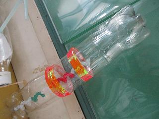 IMG_0861.jpg