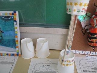 IMG_0905.jpg