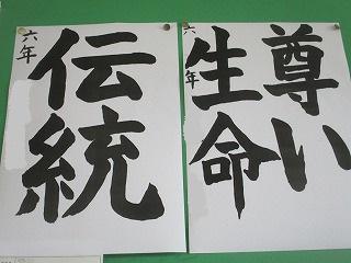 IMG_0930.jpg