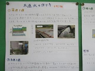IMG_0968.jpg