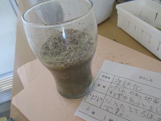 IMG_0971.jpg