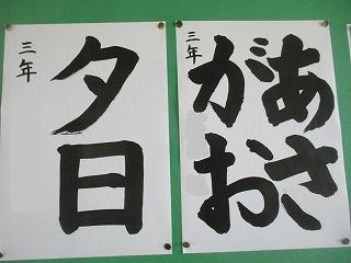 IMG_1009.jpg