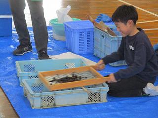 IMG_5917.jpg