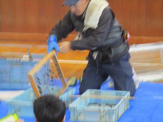 IMG_5916.jpg