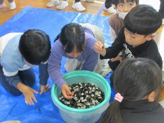 IMG_5979.jpg