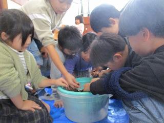 IMG_5981.jpg