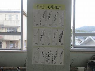IMG_5984.jpg