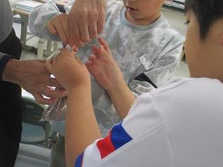 IMG_6003.jpg