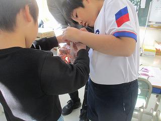 IMG_6016.jpg
