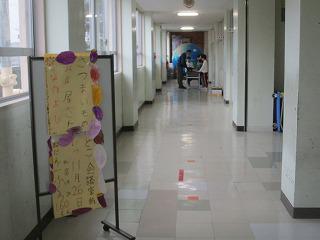 IMG_6019.jpg
