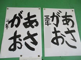 IMG_1037.jpg