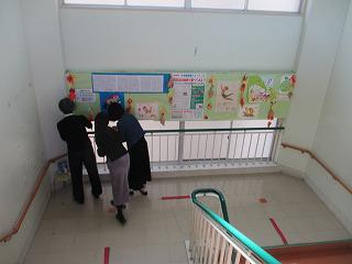 IMG_5246.jpg