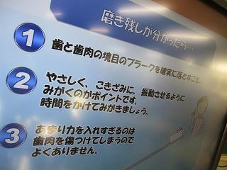 IMG_6262.jpg