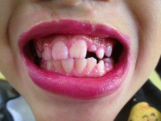 IMG_6240.jpg