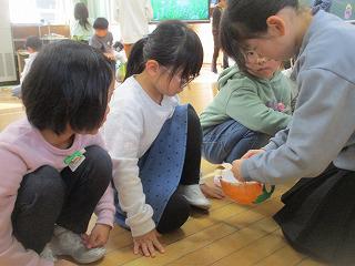 IMG_6462.jpg