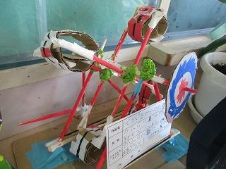 IMG_1067.jpg