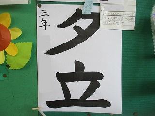 IMG_1070.jpg