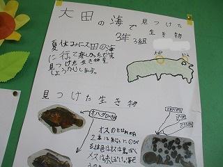 IMG_1071.jpg