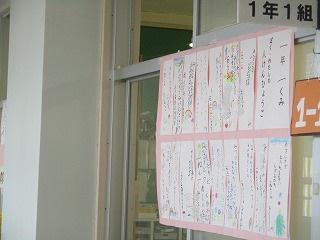 IMG_6548.jpg
