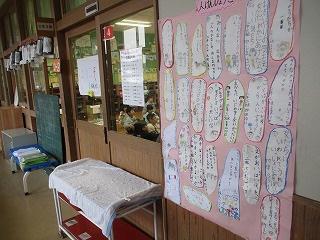 IMG_6355.jpg