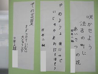 IMG_6547.jpg