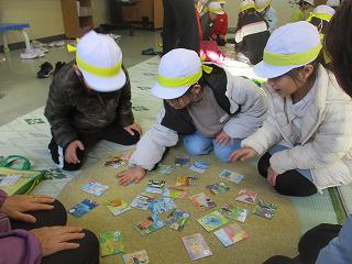 IMG_6771.jpg
