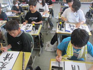 IMG_1113.jpg