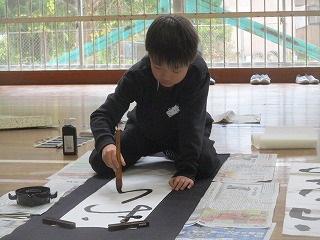 IMG_7050.jpg