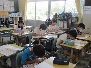 IMG_1139.jpg