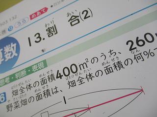 IMG_7251.jpg