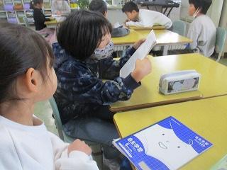 IMG_7293.jpg