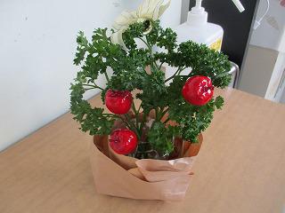IMG_7342.jpg