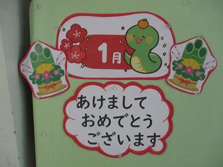 IMG_7627.jpg