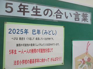 IMG_7767.jpg