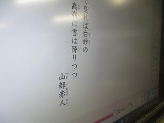 IMG_7782.jpg
