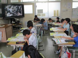 IMG_1219.jpg