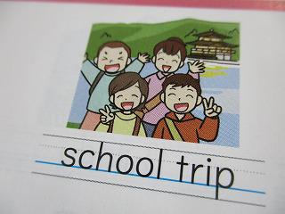 IMG_7963.jpg