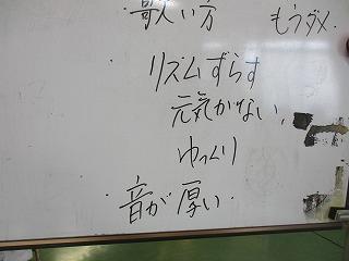 IMG_8046.jpg