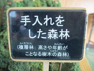 IMG_1237.jpg