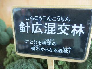 IMG_1239.jpg