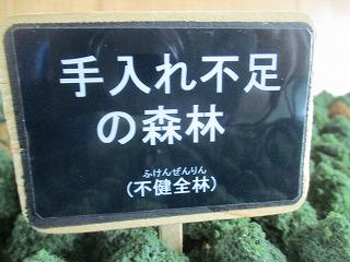 IMG_1240.jpg