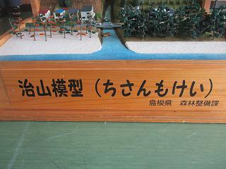 IMG_1241.jpg