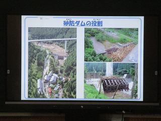 IMG_1247.jpg