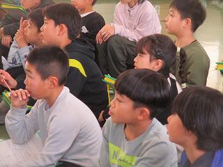 IMG_8253.jpg