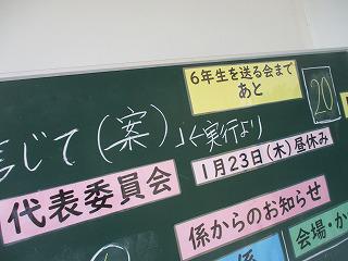 IMG_8355.jpg