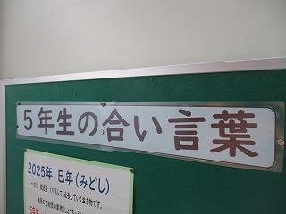 IMG_8363.jpg