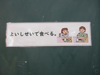IMG_8478.jpg