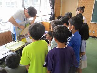 IMG_1290.jpg