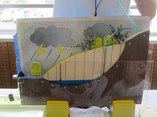 IMG_1293.jpg
