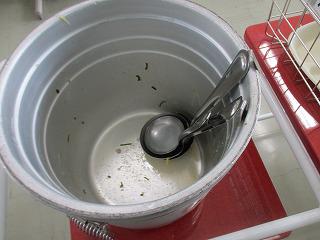 IMG_8644.jpg